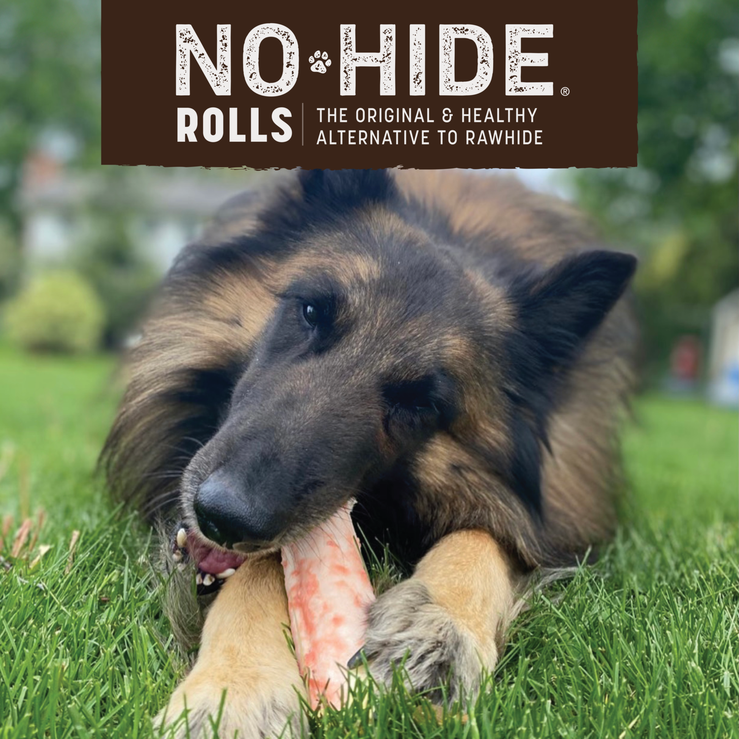 Earth Animal No-Hide Rawhide Alternative Chews Dog Treats, Strawberries & Cream Flavor, Medium