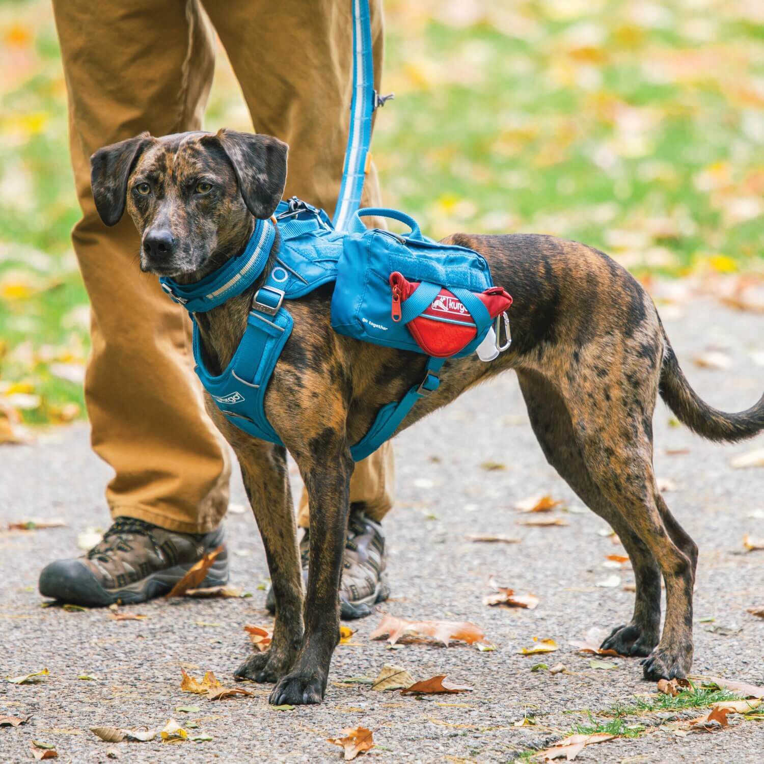 Kurgo Zippy Collapsible Travel Dog Bowls