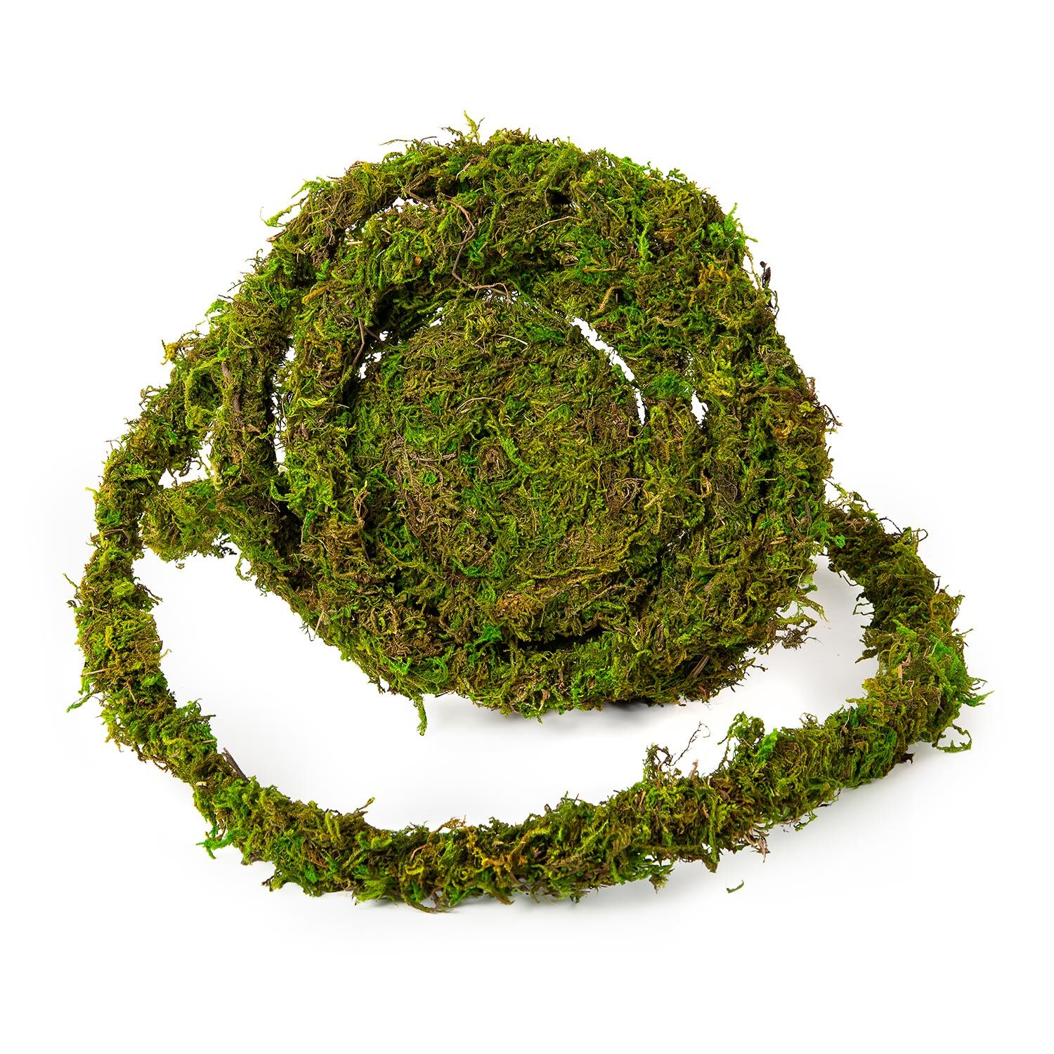 Gal&aacute;pagos Natural Moss Vine Reptile Habitat Decor, Boxed, 12-Ft