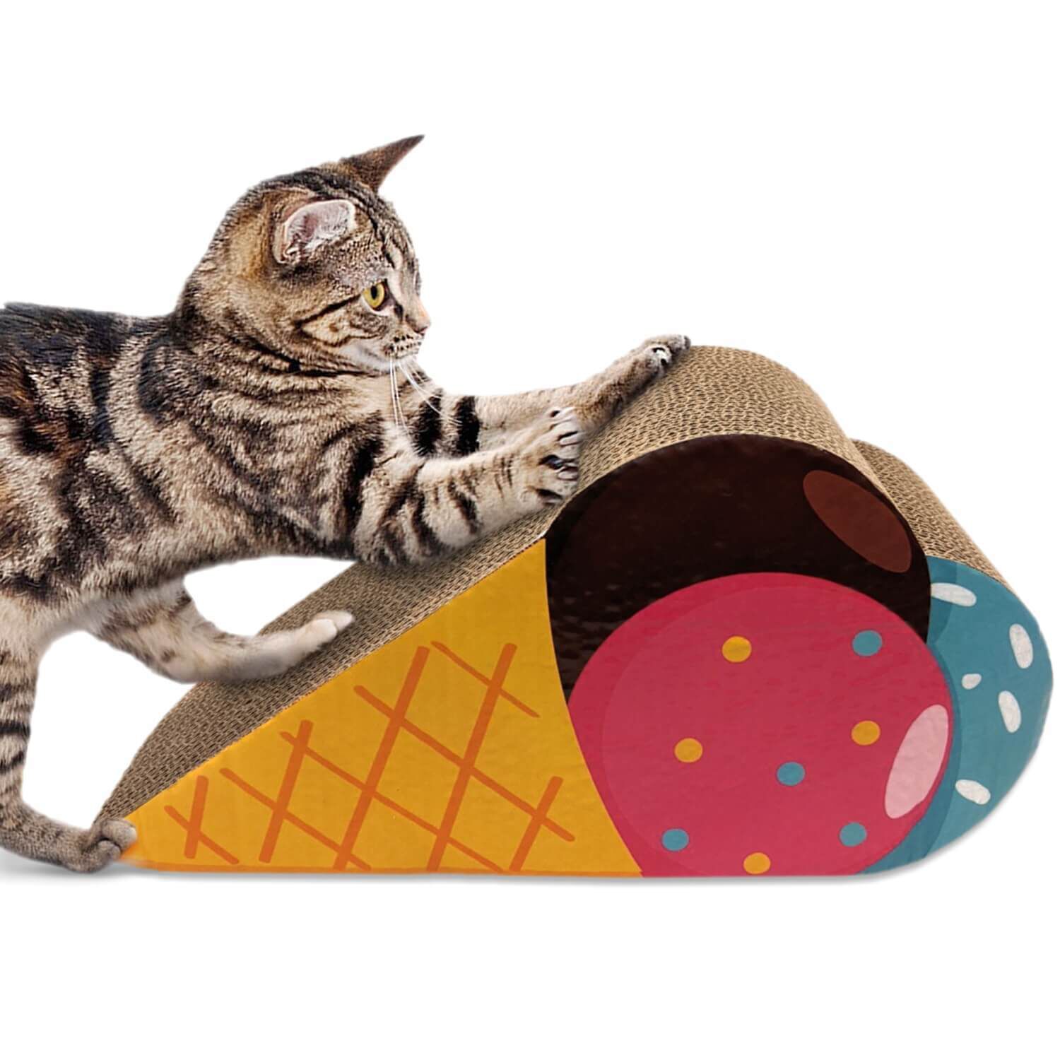 Cat shop scratching cone