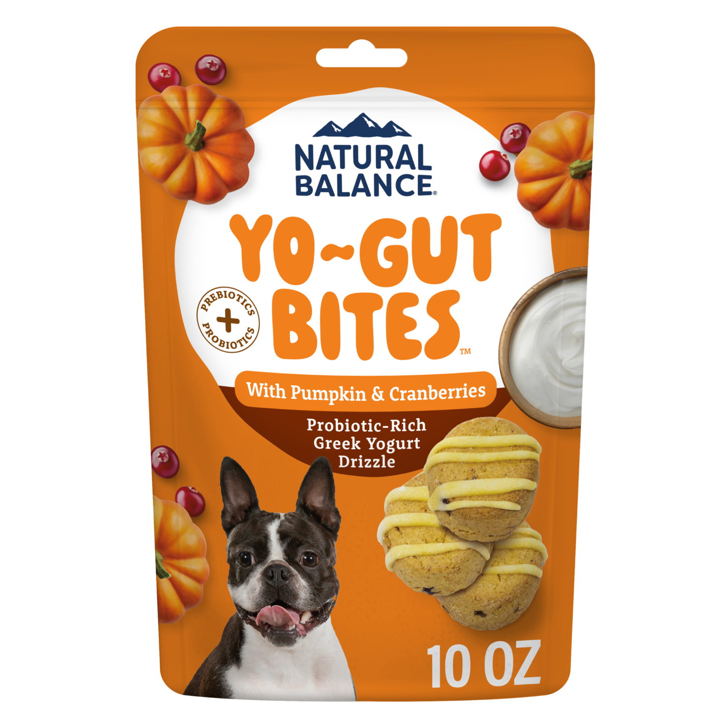 Natural Balance Yo-Gut Bites Biscuit Dog Treats, Pumpkin & Cranberries With Greek Yogurt Drizzle