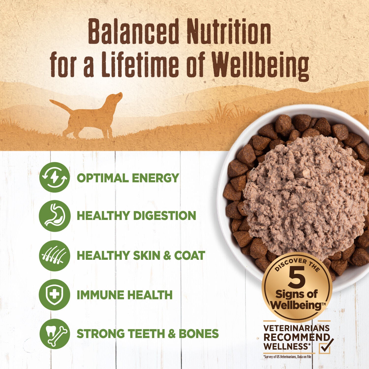 Wellness 95% Lamb Natural Grain Free Wet Dog Food, 13.2-Ounce Can