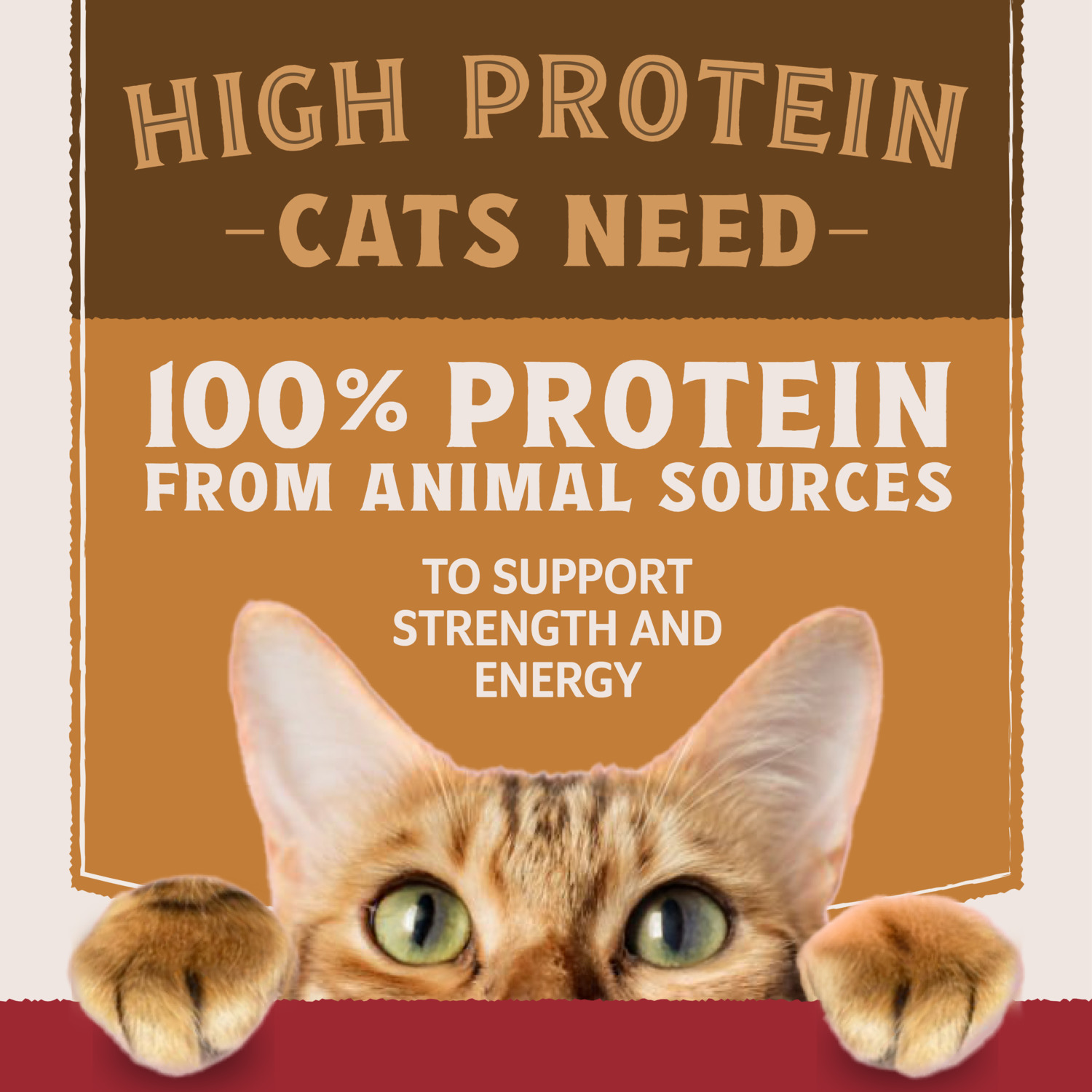 Natural Balance Ultra Protein Wet Cat Food, Salmon & Chicken Recipe In Broth, 2.8 Oz