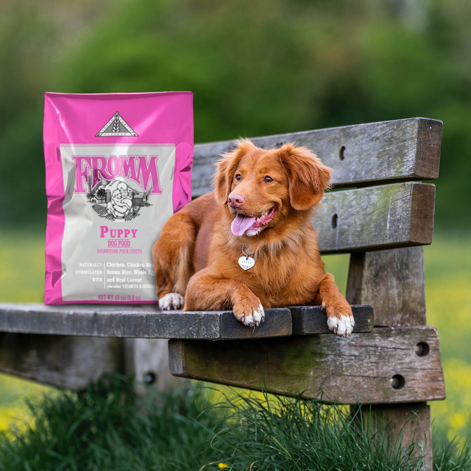 Fromm Classic Puppy Dry Dog Food, 30Lb
