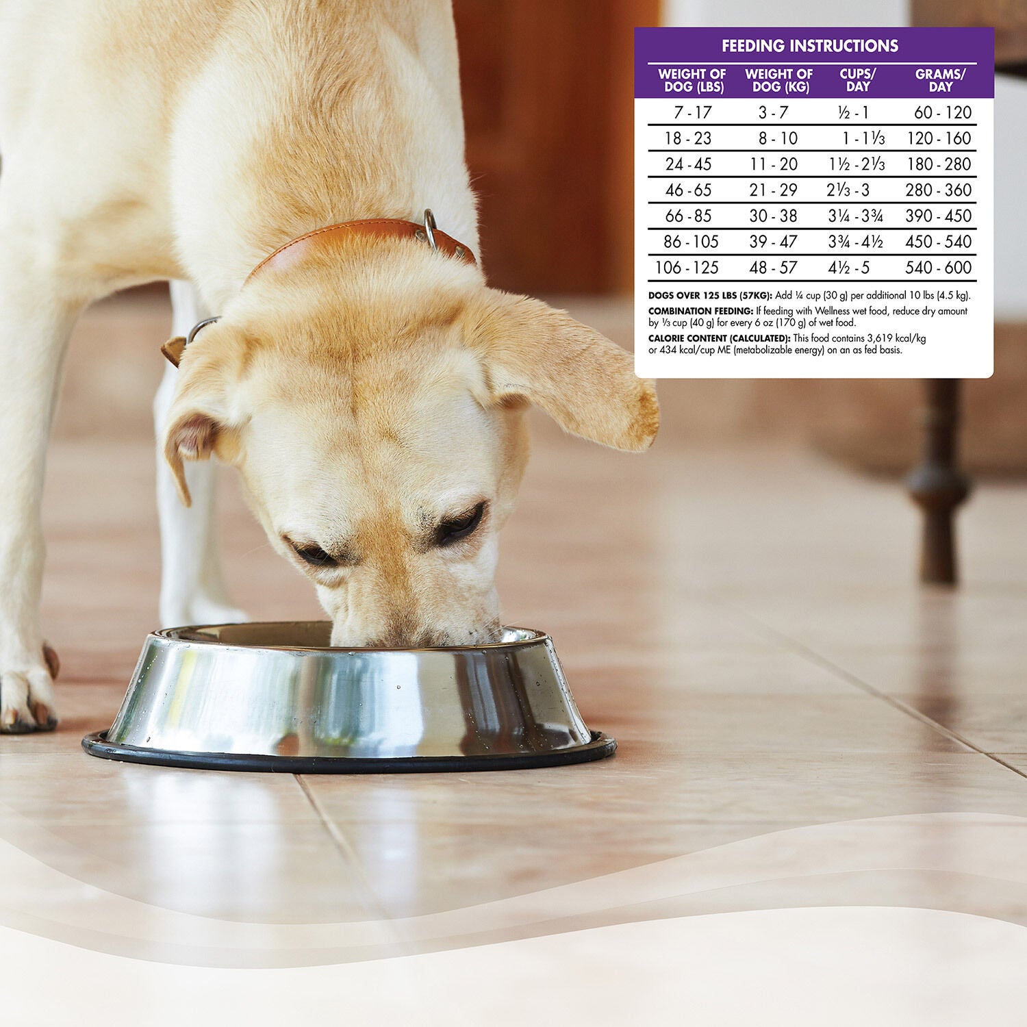 Complete Health Chicken Oatmeal Dog Food Pet Supermarket 30lb