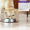 Complete Health Chicken & Oatmeal Dry Dog Food