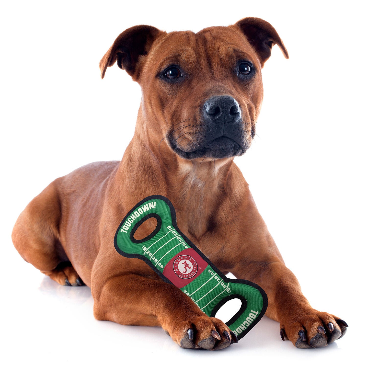 Pets First Ncaa Alabama Crimson Tide Football Field Squeaky Dog Toy, 13"