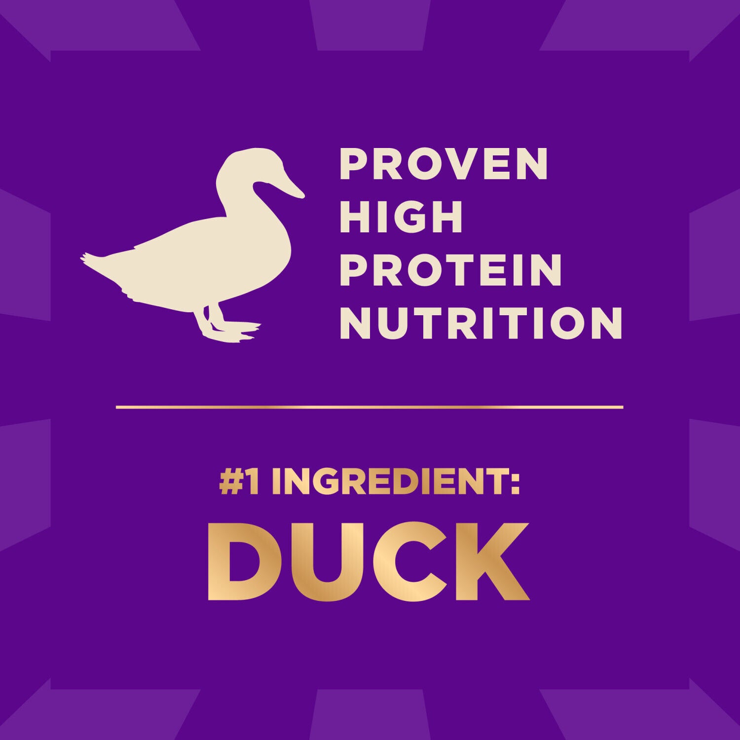 Wellness Core+ Dry Dog Food With Freeze Dried Pieces, Grain Free, High Protein, Natural, Wild Game Duck, Lamb, Wild Boar, & Rabbit Recipe, 4-Pound Bag
