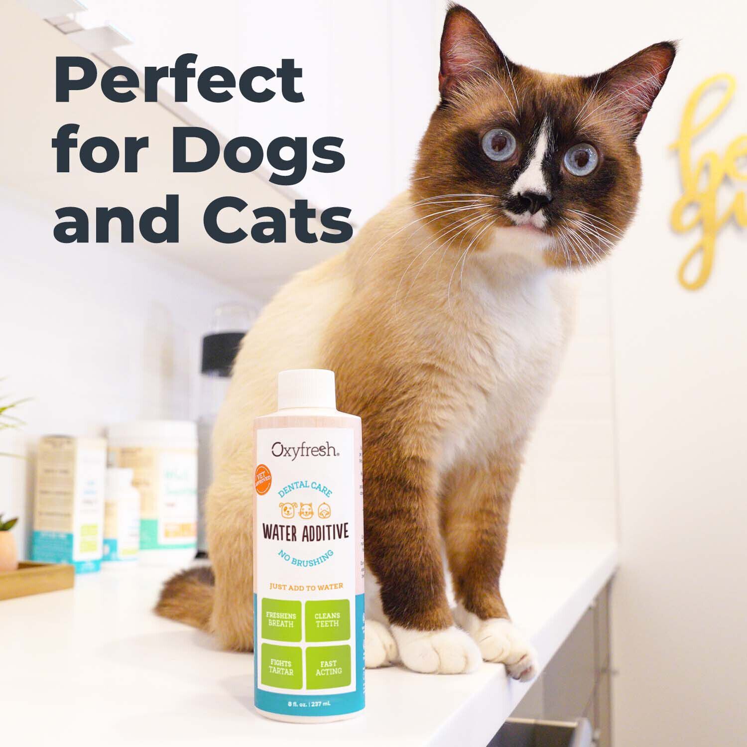 Oxyfresh Premium Pet Care Solution Cat & Dog Dental Water Additive, 16-Fl-Oz Bottle