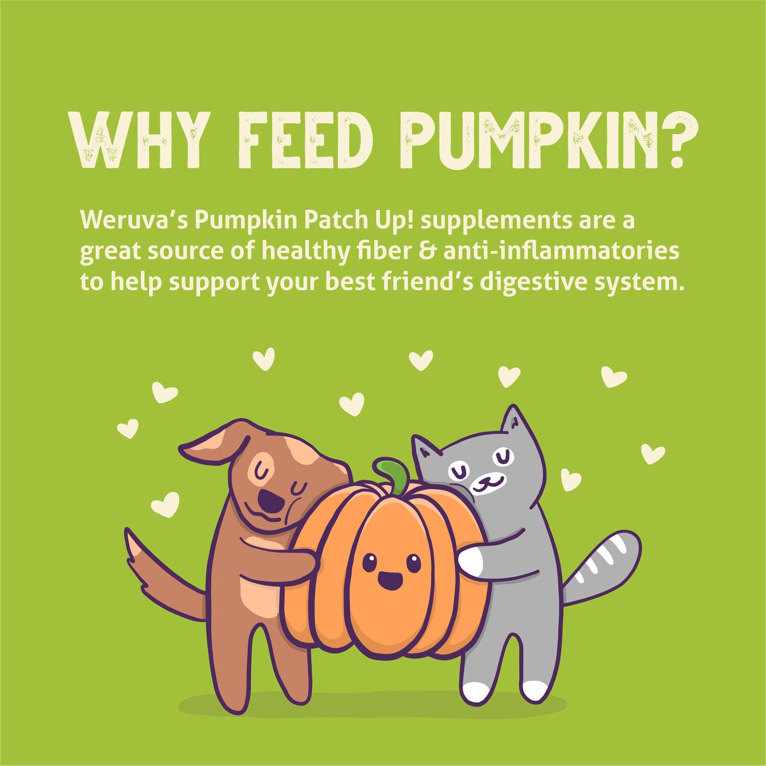 Weruva Pumpkin Patch Up! Healthy Digestion Dog & Cat Food Supplement, 1.05-Oz Pack Of 12