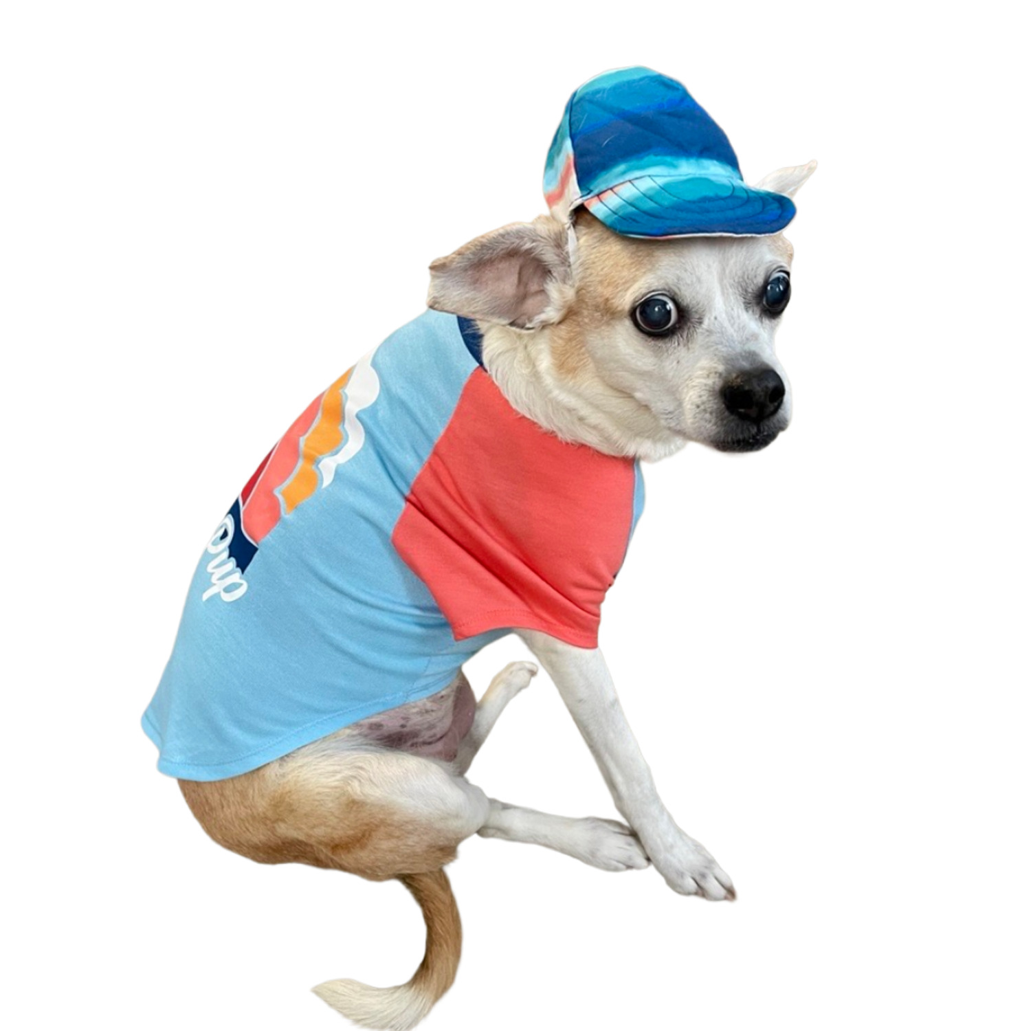 Bailey & Bella Blue Beach Pup Dog T-Shirt & Hat Set, Extra Large