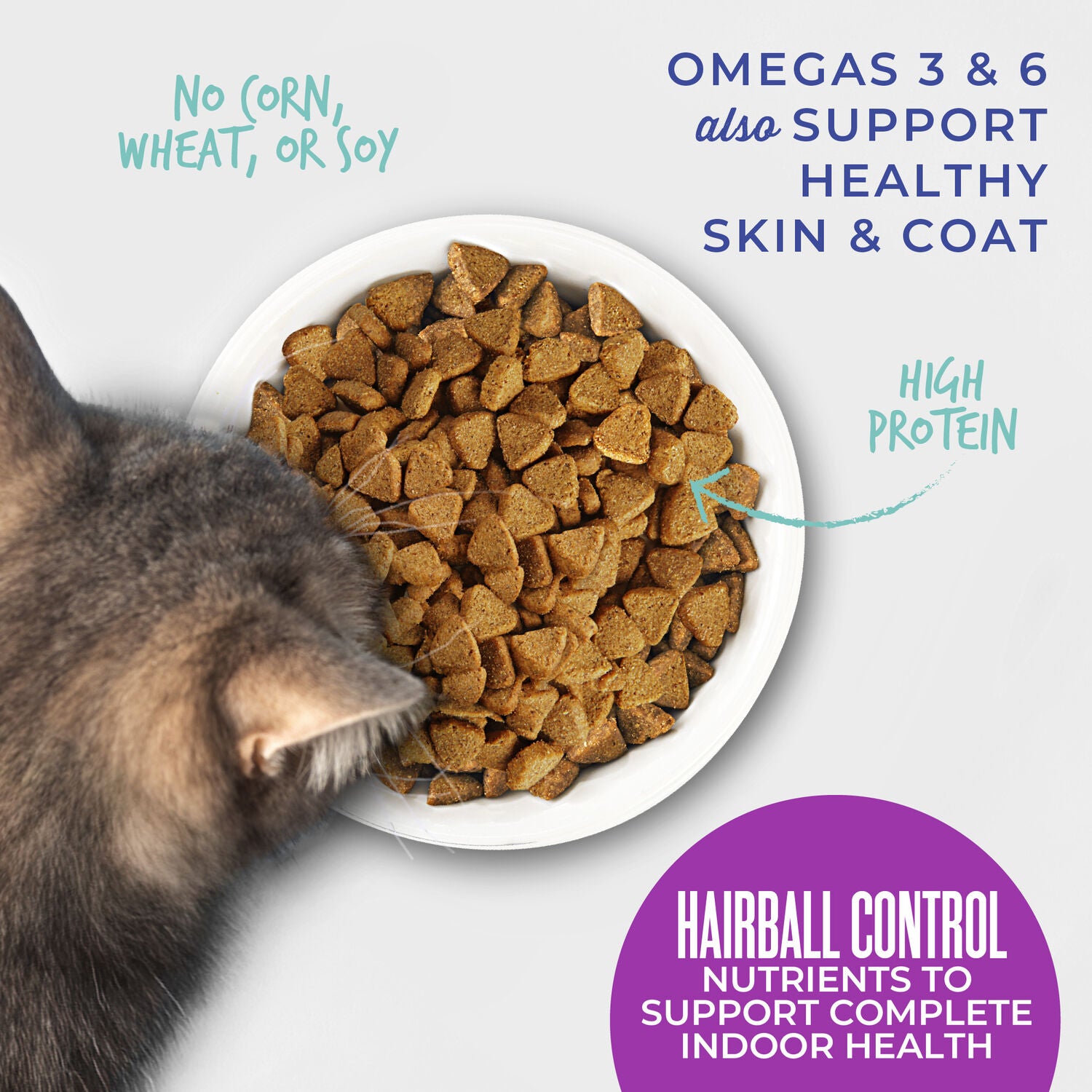 Tiki Cat Born Carnivore Dry Cat Food, Hairball Control, Chicken Recipe, 3-Lb Bag