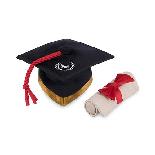 Back To School Graduation Cap With Scroll Dog Toy