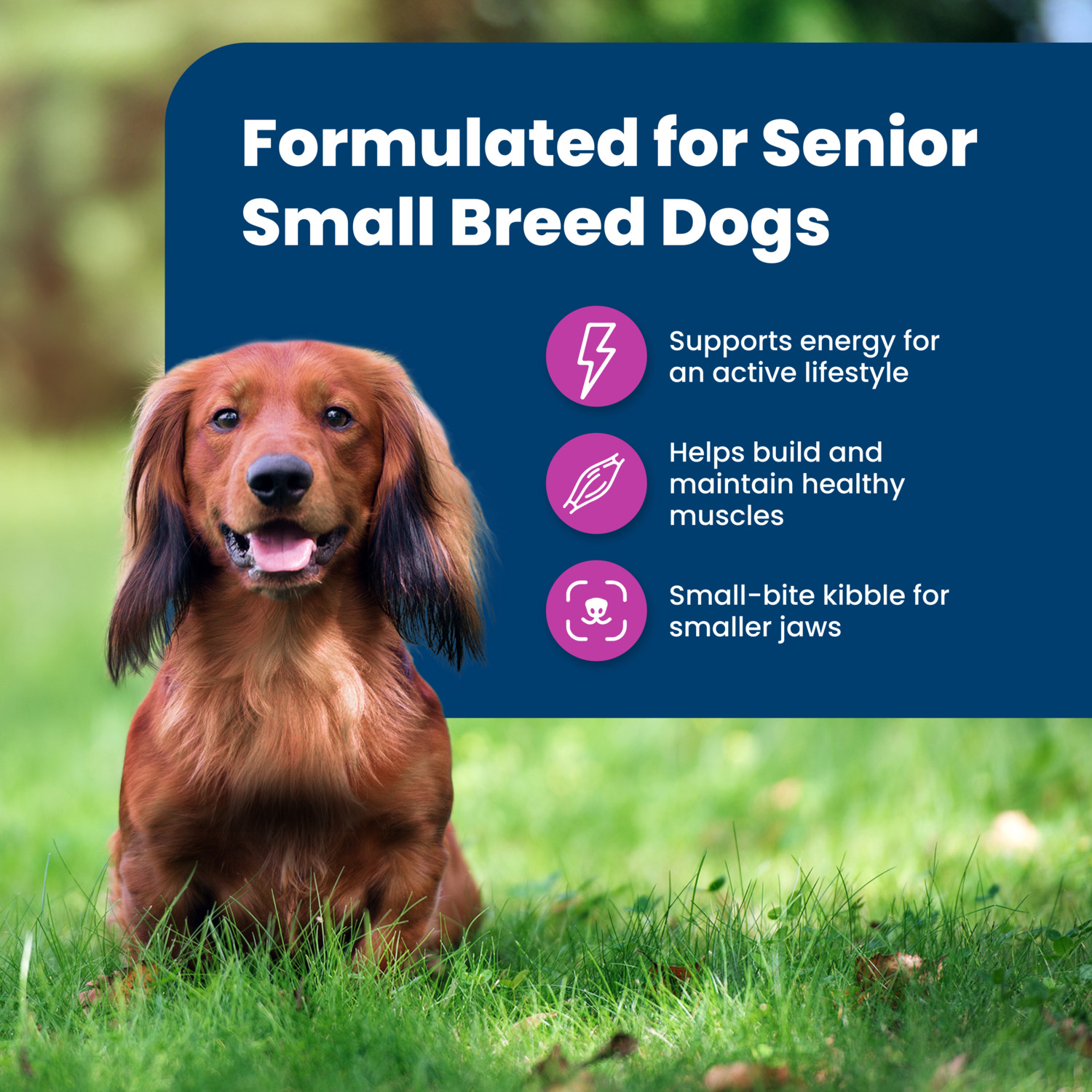 Blue Buffalo Life Protection Formula Senior Small Breed Dry Dog Food Chicken & Brown Rice Recipe, 15 Lb