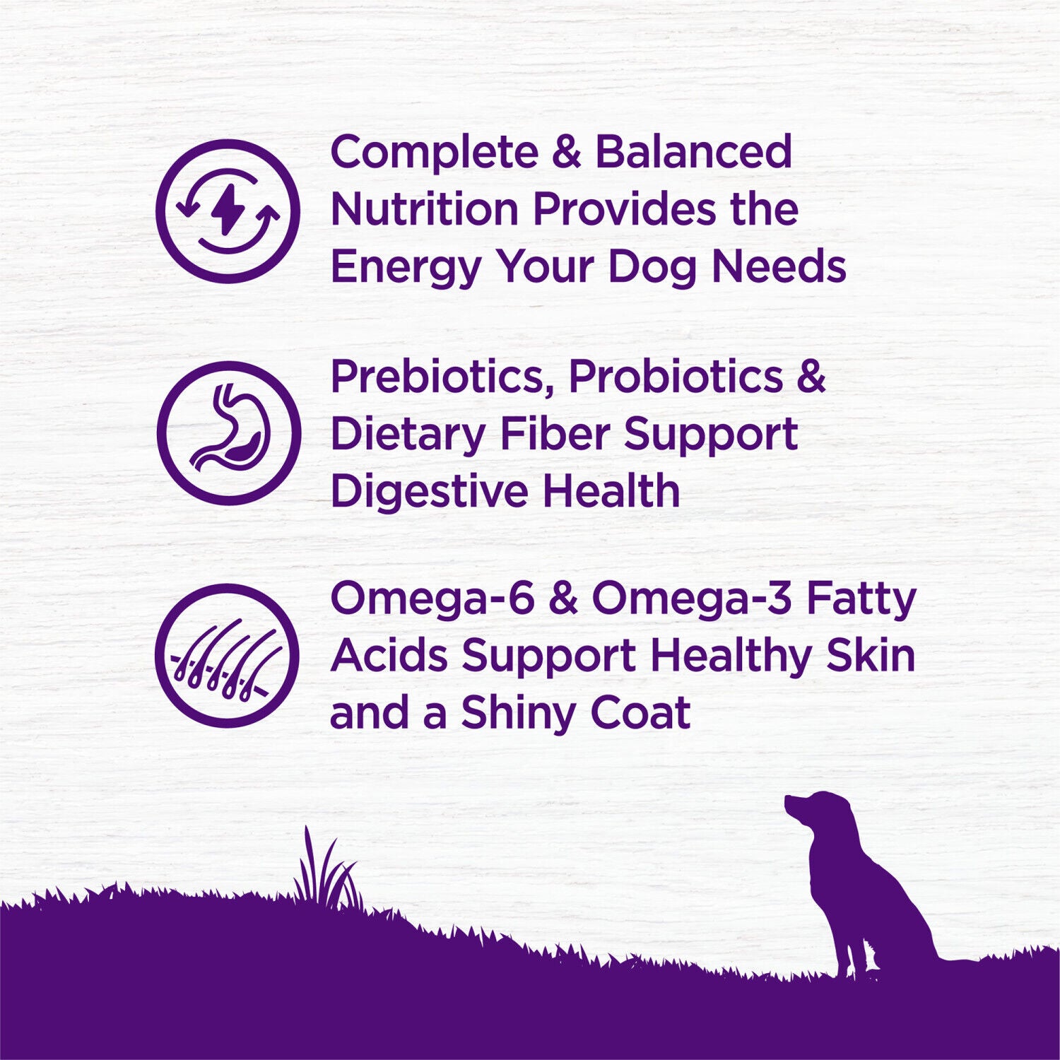 Wellness Complete Health Dry Dog Food, Wholesome Grains, Natural, Chicken & Oatmeal Recipe, 5-Pound Bag