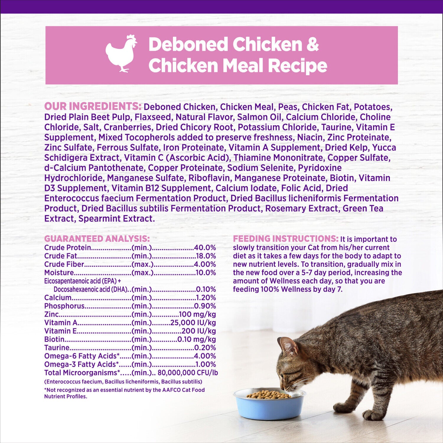 Wellness Complete Health Kitten Dry Cat Food For Indoor And Outdoor Cats, Grain Free, Natural, Chicken & Chicken Meal 5.5 Pound Bag