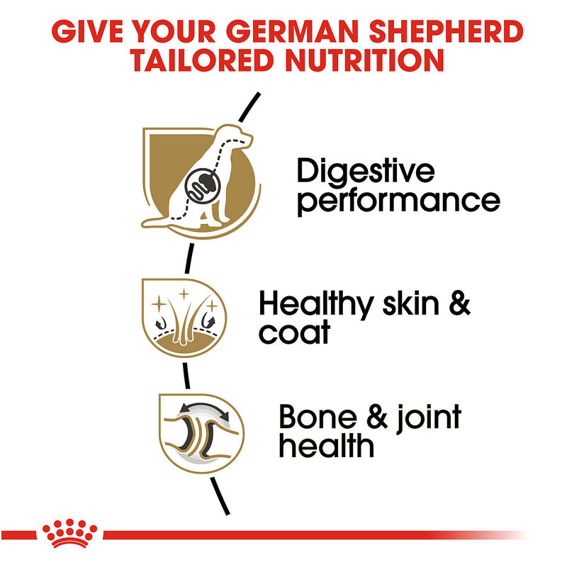 Royal Canin Breed Health Nutrition German Shepherd Adult Dry Dog Food, 30lbs