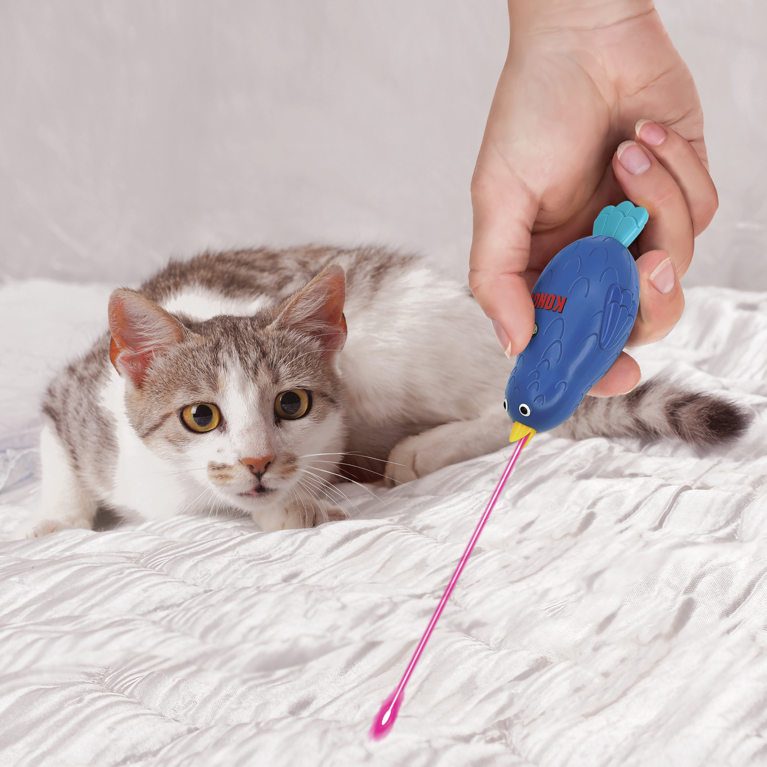 Kong Laser Chirps Bird Interactive Cat Toy