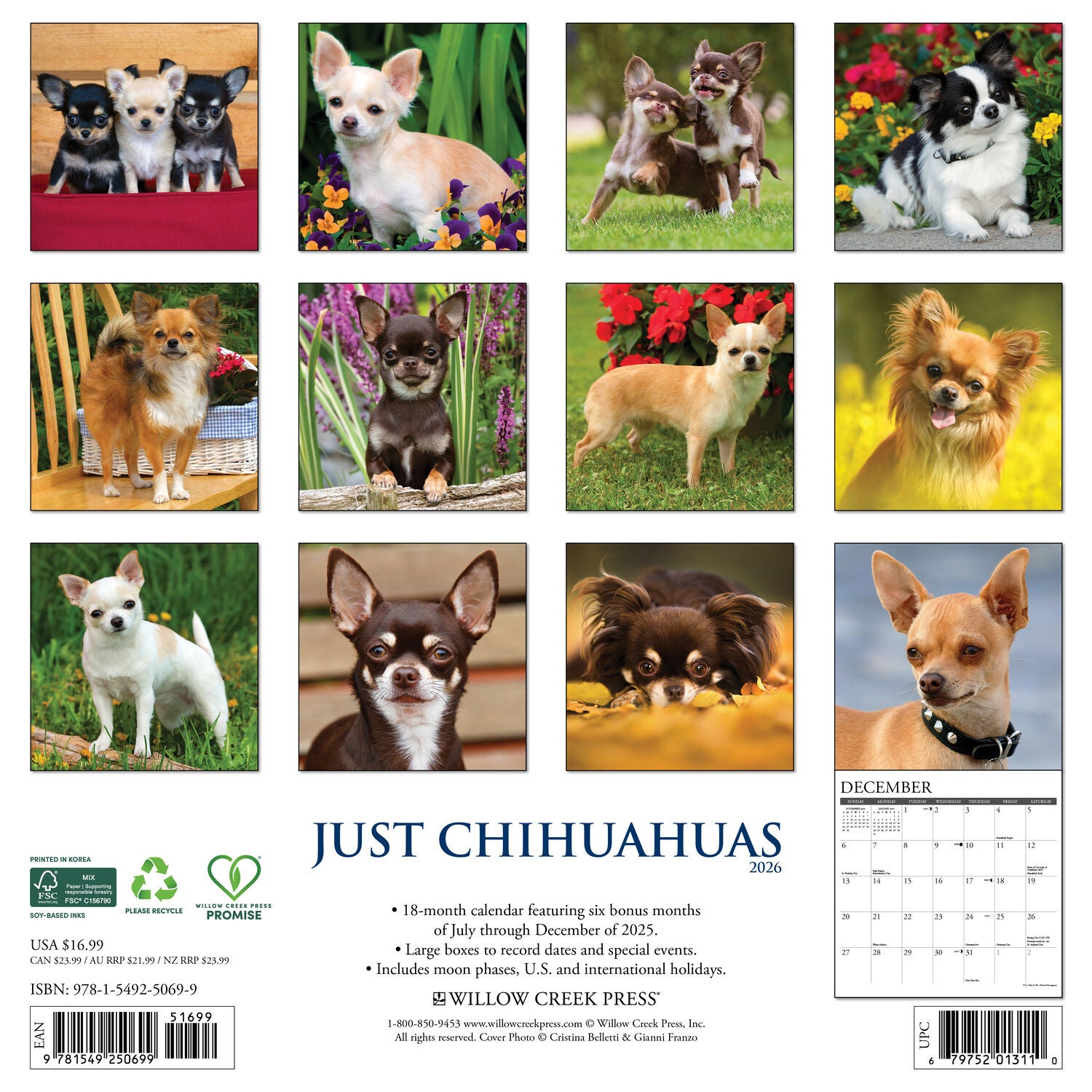 Willow Creek Press 2026 Chihuahuas Wall Calendar