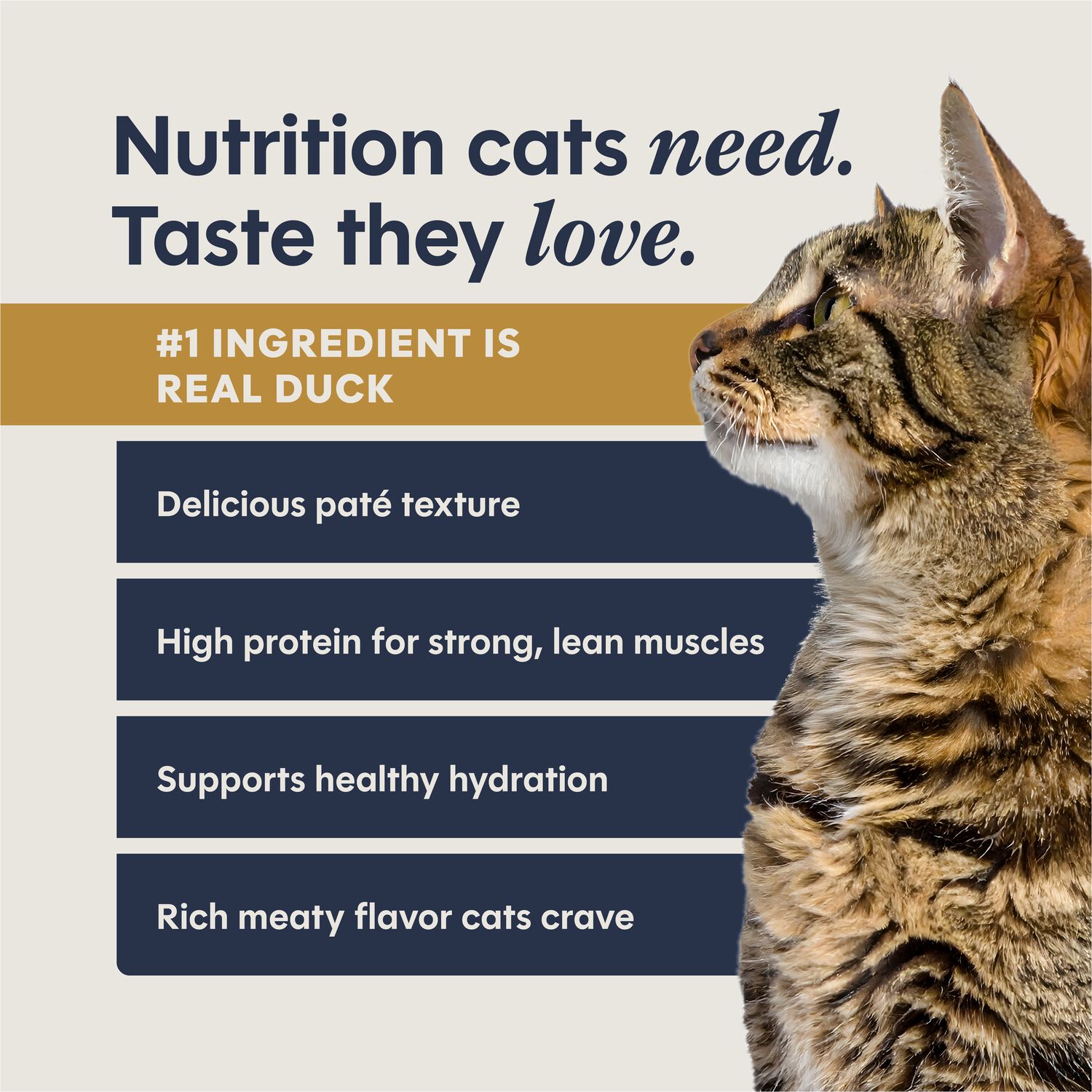 Instinct Pate Grain-Free Wet Cat Food, Duck Entr&eacute;e,&nbsp;2.64-Oz Split Cup