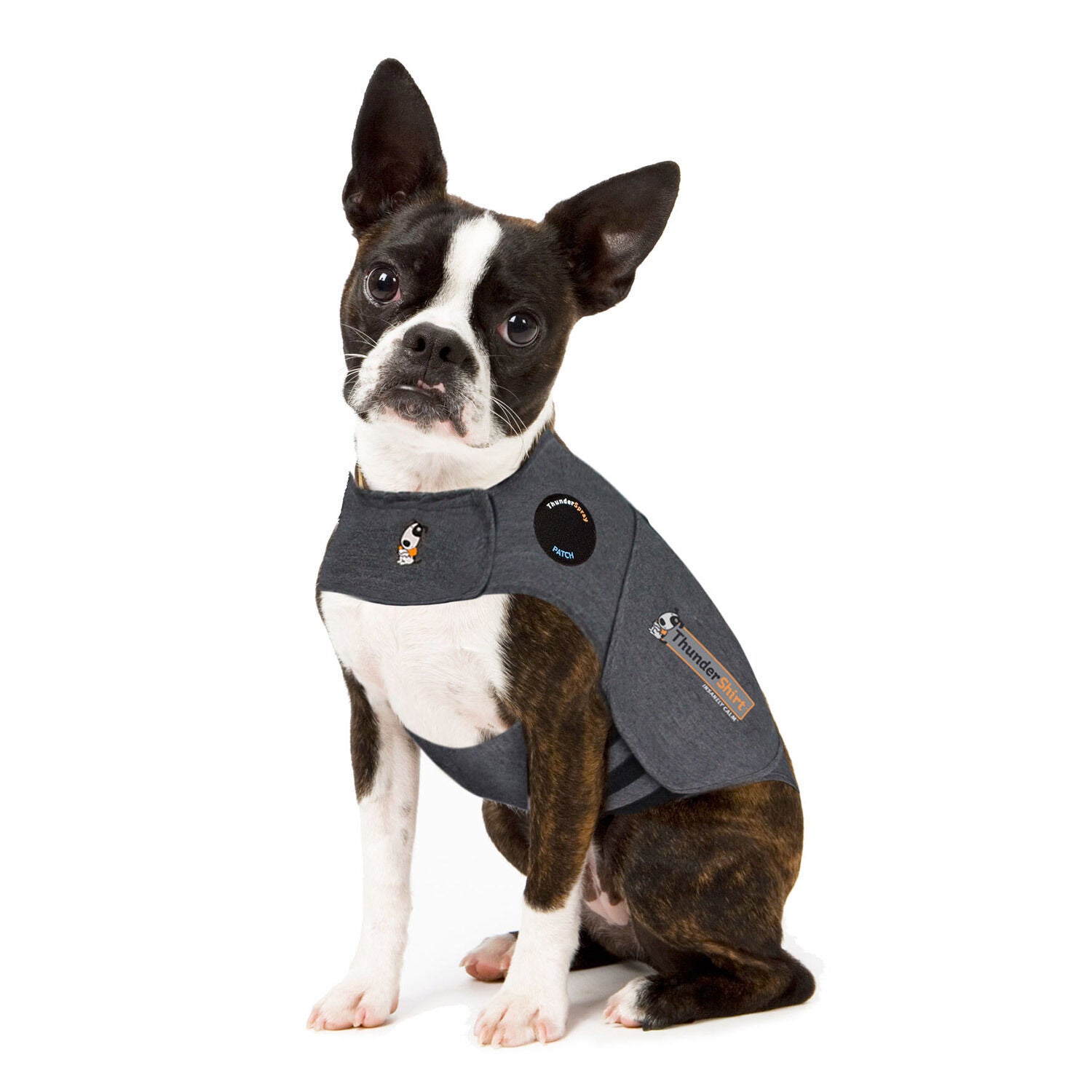 AOOLMOL Dog Anxiety Vest And Coat, Vet Visits And