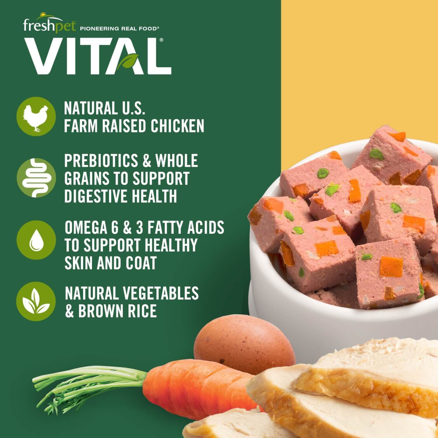 Freshpet Whole Foods Puppy Food Freshpet Healthy Natural Dog Food