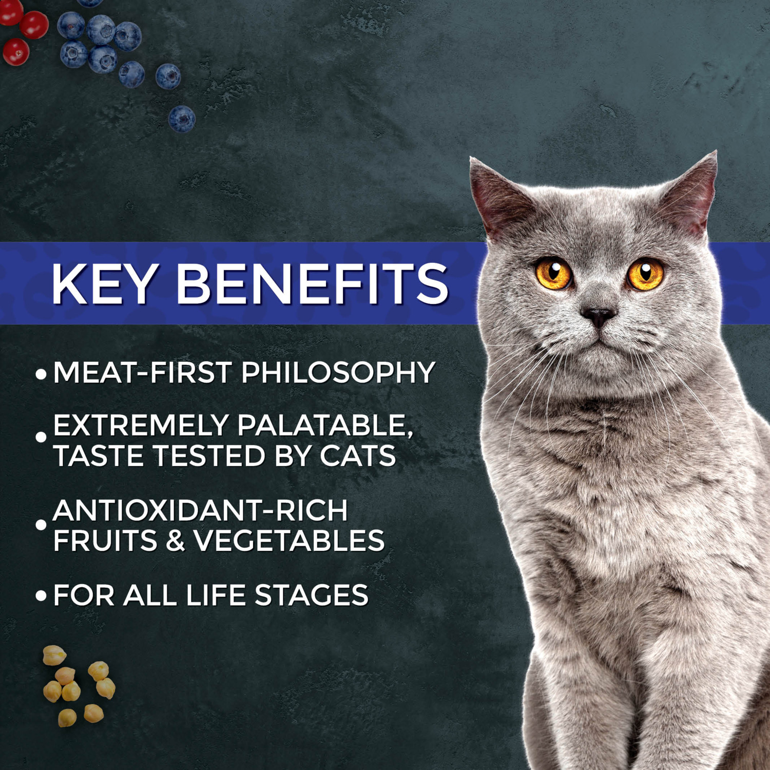 Fussie Cat Market Fresh Grain-Free Dry Cat Food, Tuna