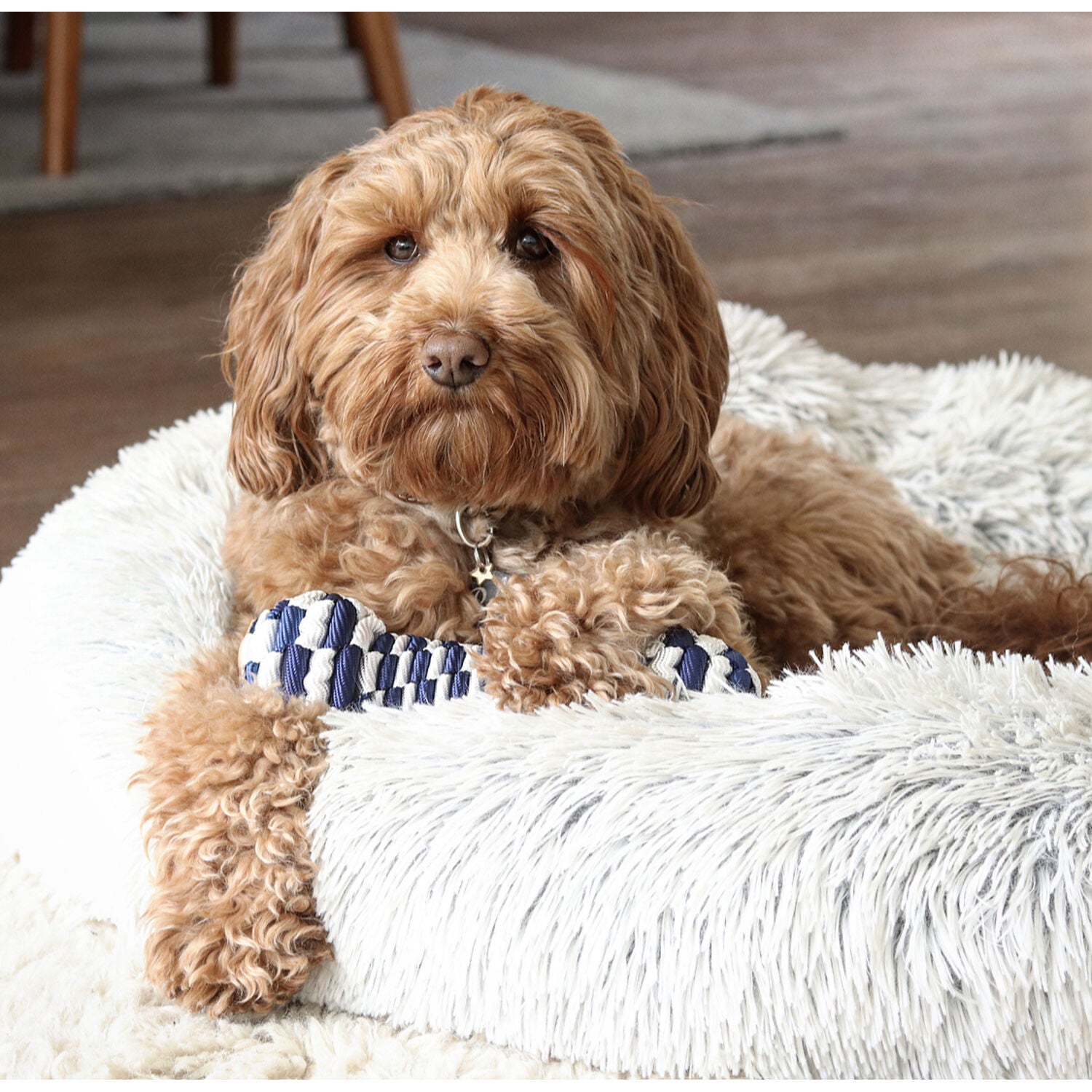 Tall Tails Navy Braided Bone Dog Toy, 9"