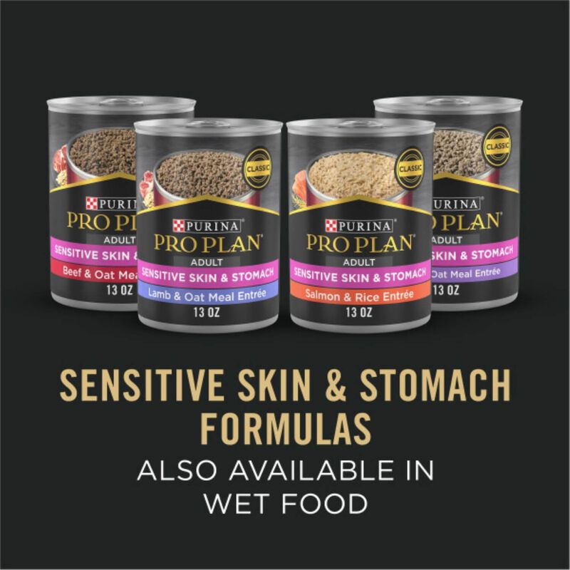 Purina Pro Plan Sensitive Skin And Stomach Salmon And Rice Formula Dry Dog Food