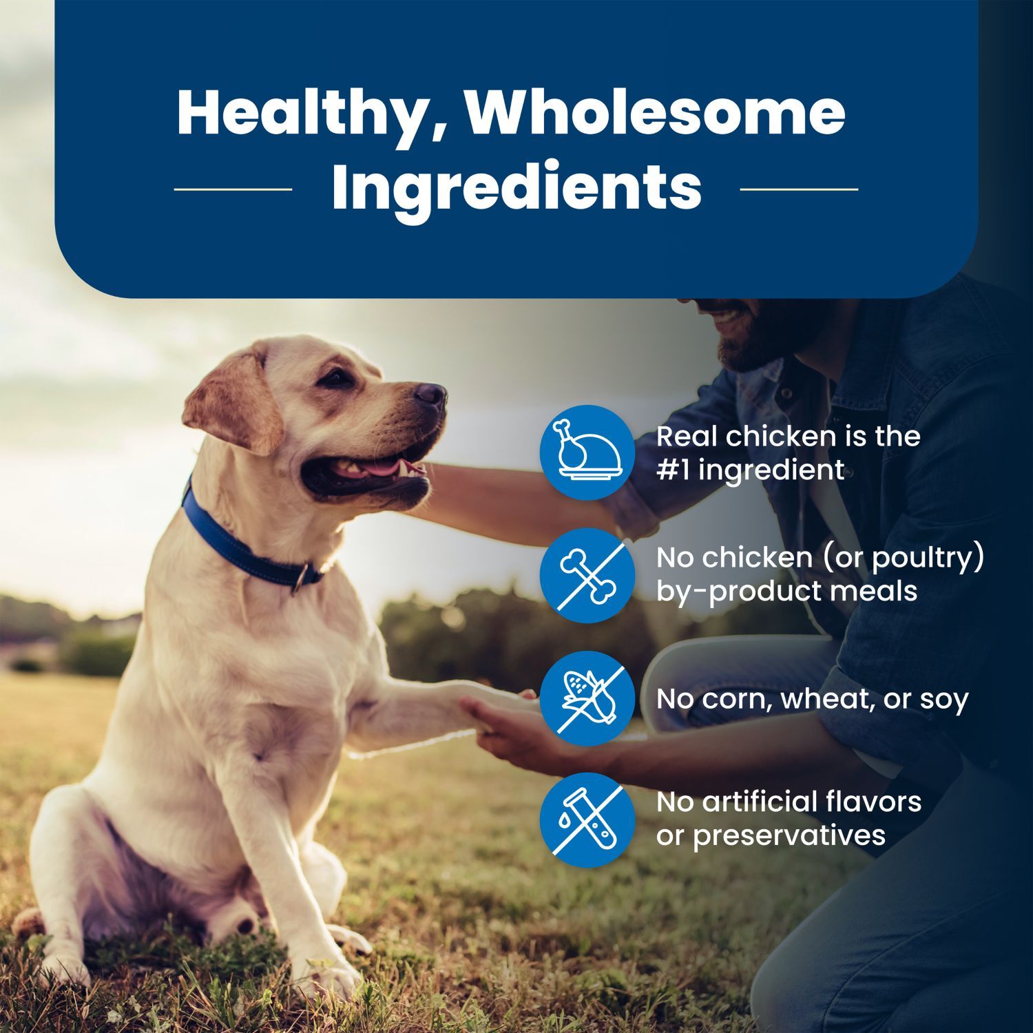 Blue Buffalo Life Protection Chicken & Brown Rice Senior Dog Food, 30-Lb