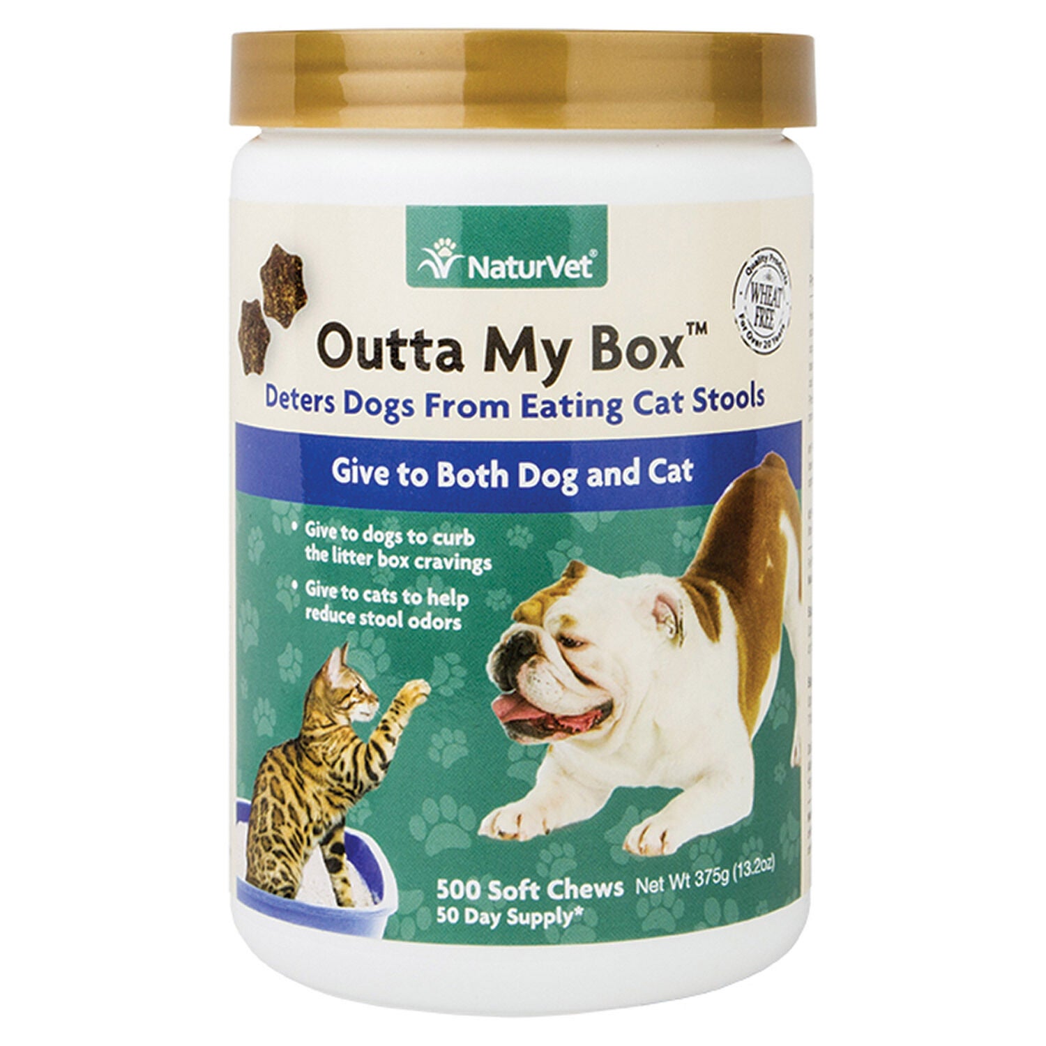 Can dogs eat cat litter shop