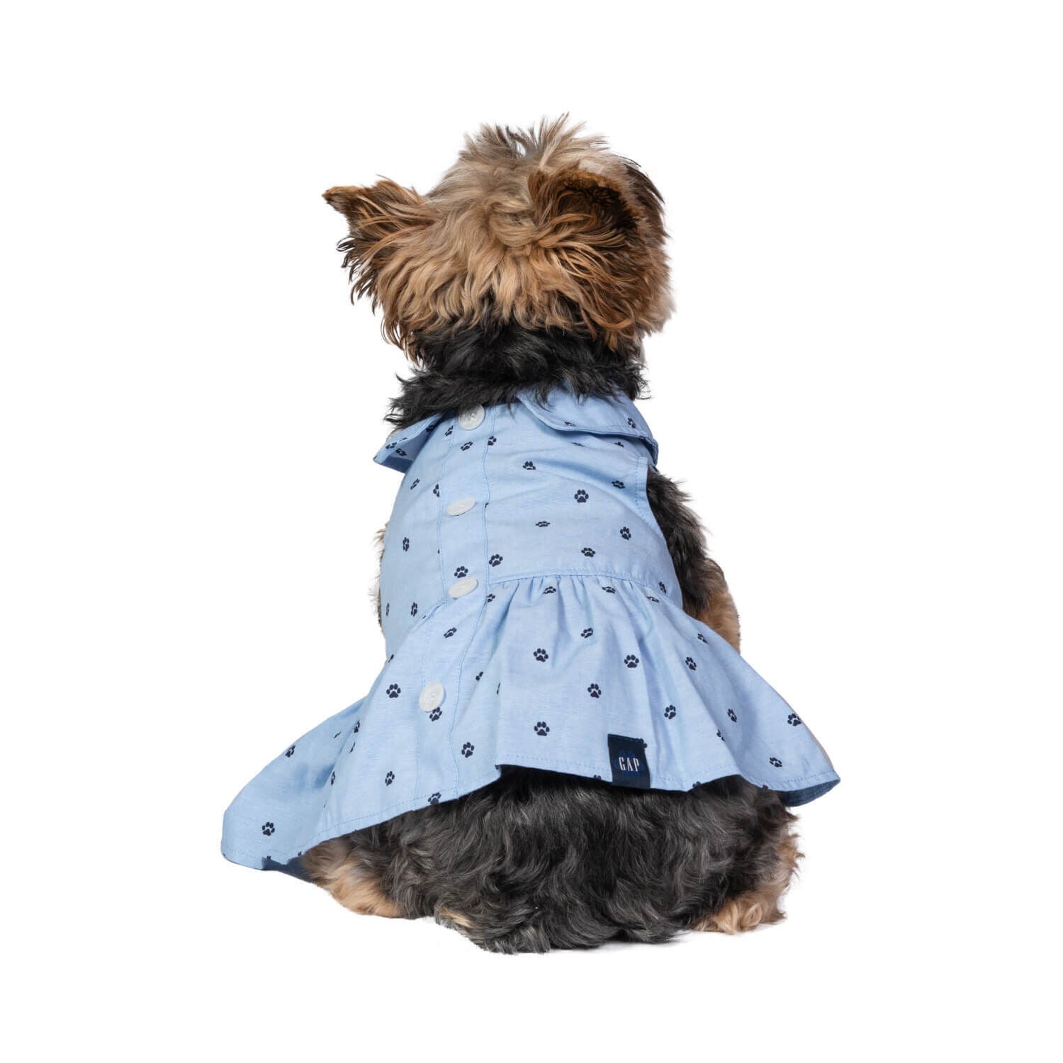 Gap Home Dog Cat Clothes Chambray Paw Print Gap Dog Dress Blue S Each