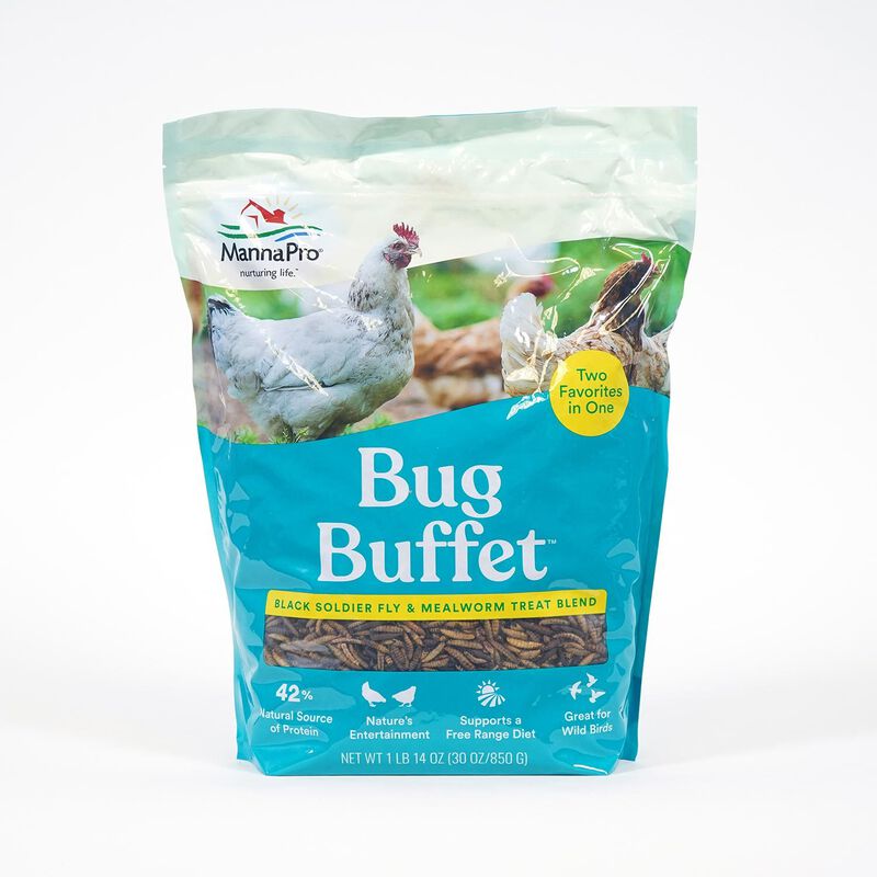 Bug Buffet Bird Treat image number 1
