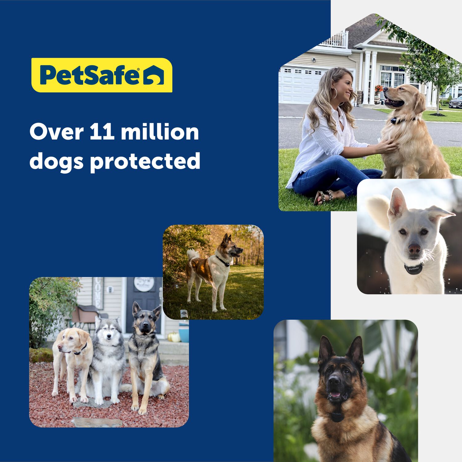 Petsafe In-Ground Fence Pet Containment System For Dogs And Cats Over 8-Lb