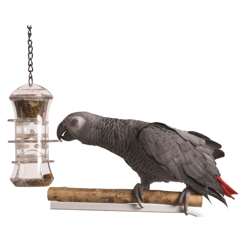 Push And Pull Forager Bird Toy image number 1