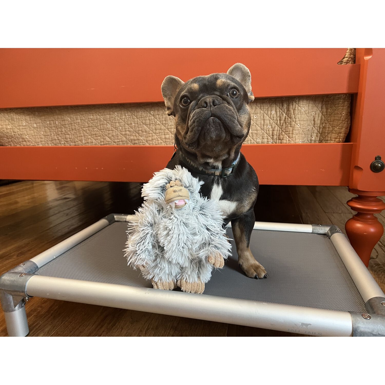 Tall Tails Mini Yeti With Squeaker Plush Dog Toy, 7"