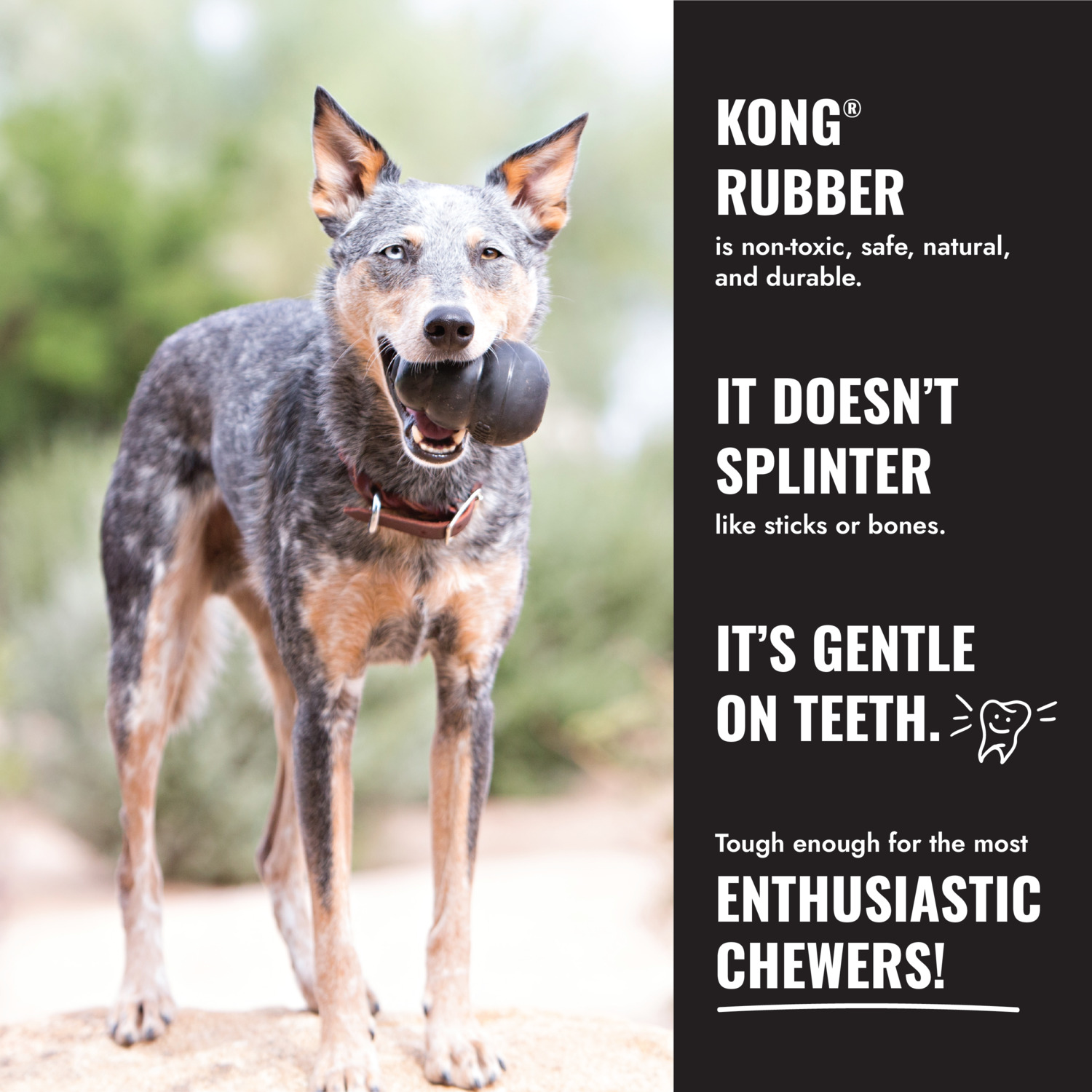 Kong Extreme Goodie Bone Durable Rubber Dog Toy, Large