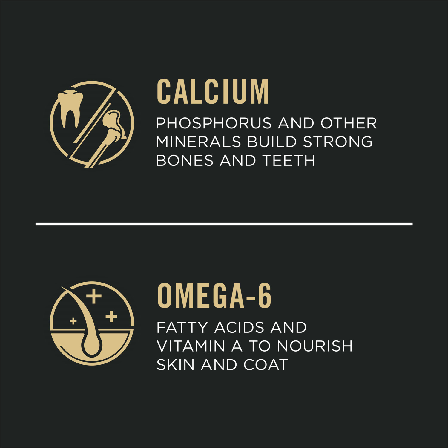 Purina Pro Plan Large Breed Puppy Dry Dog Food, Chicken And Rice Formula, 47Lb