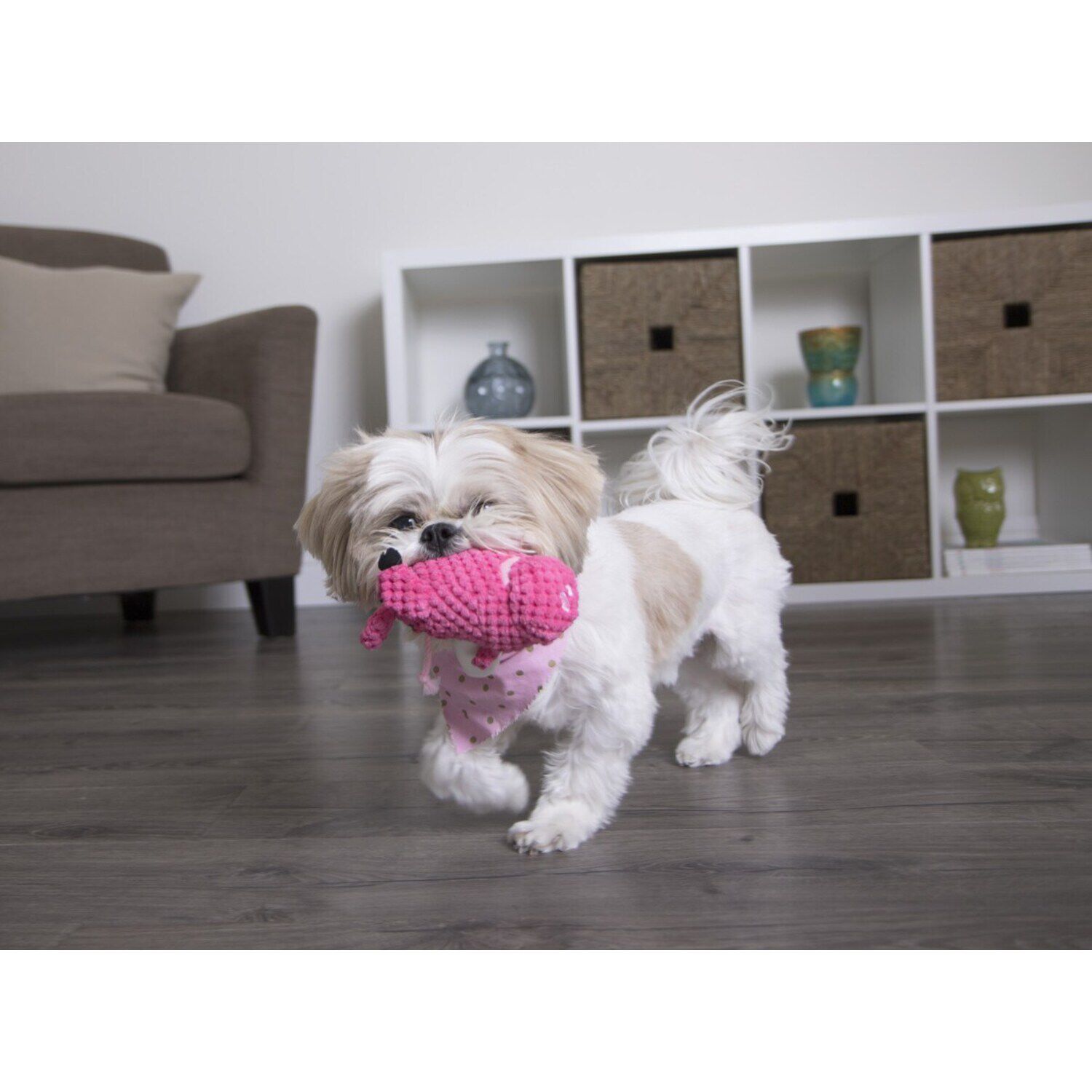 Godog Checkers Just For Me Flying Pig Squeaky Plush Dog Toy - Pink Mini