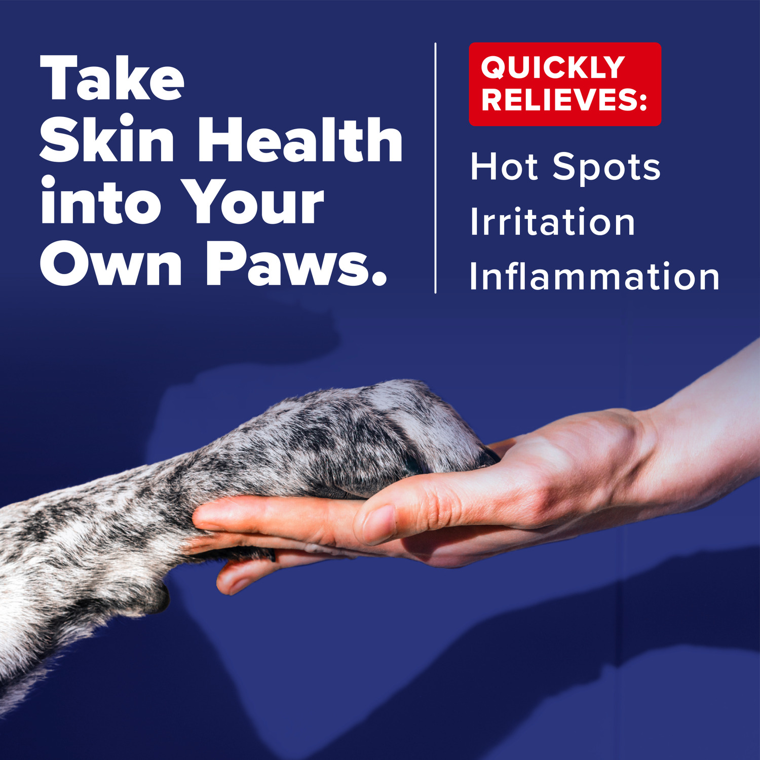 Tropiclean Oxymed Vet Strength Hot Spot Medicated Dog Shampoo, 20-Oz