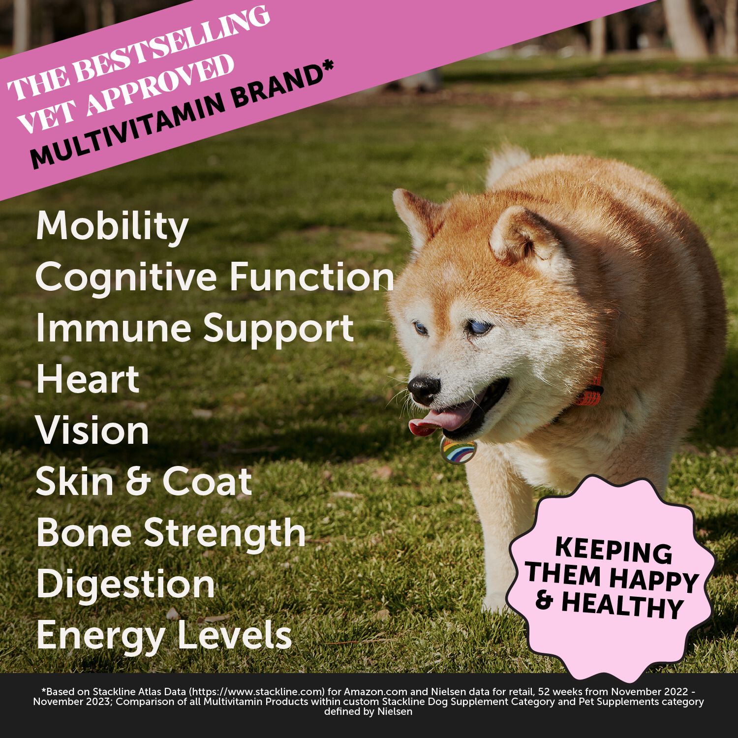 Pet Honesty Multivitamin 10-In-1 Multivitamin Chews For Senior Dogs, Duck Flavor, 90-Ct