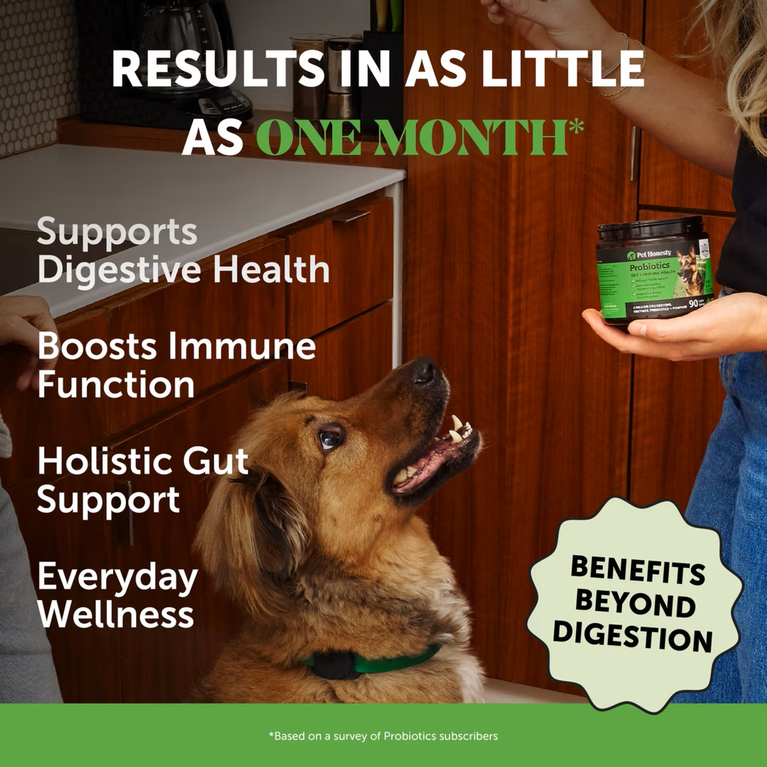 Pet Honesty Probiotics Gut & Immune Health Soft Chew Dog Digestive Health Supplement, Pumpkin Flavor, 90-Count
