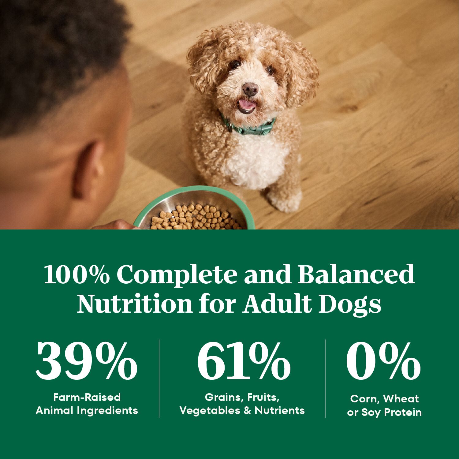 Nutro Natural Choice Adult Small Bites Lamb & Brown Rice Recipe Dry Dog Food, 30-Lb Bag