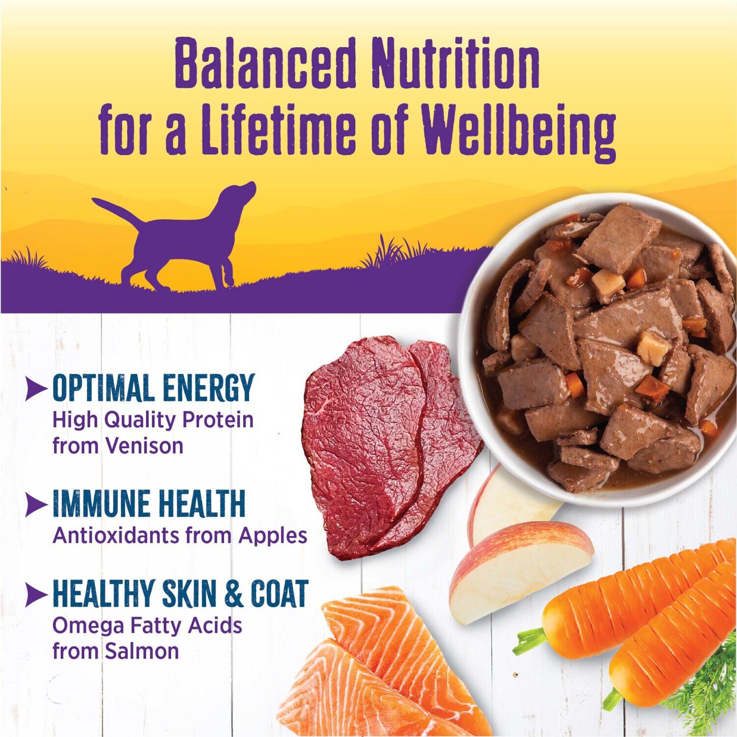 Wellness Complete Health Canned Wet Dog Food, Venison & Salmon Stew, 12.5-Ounce Can