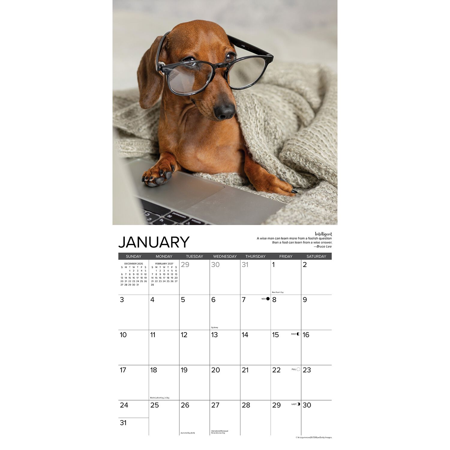 Willow Creek Press Dachshund Rules 2027 Wall Calendar