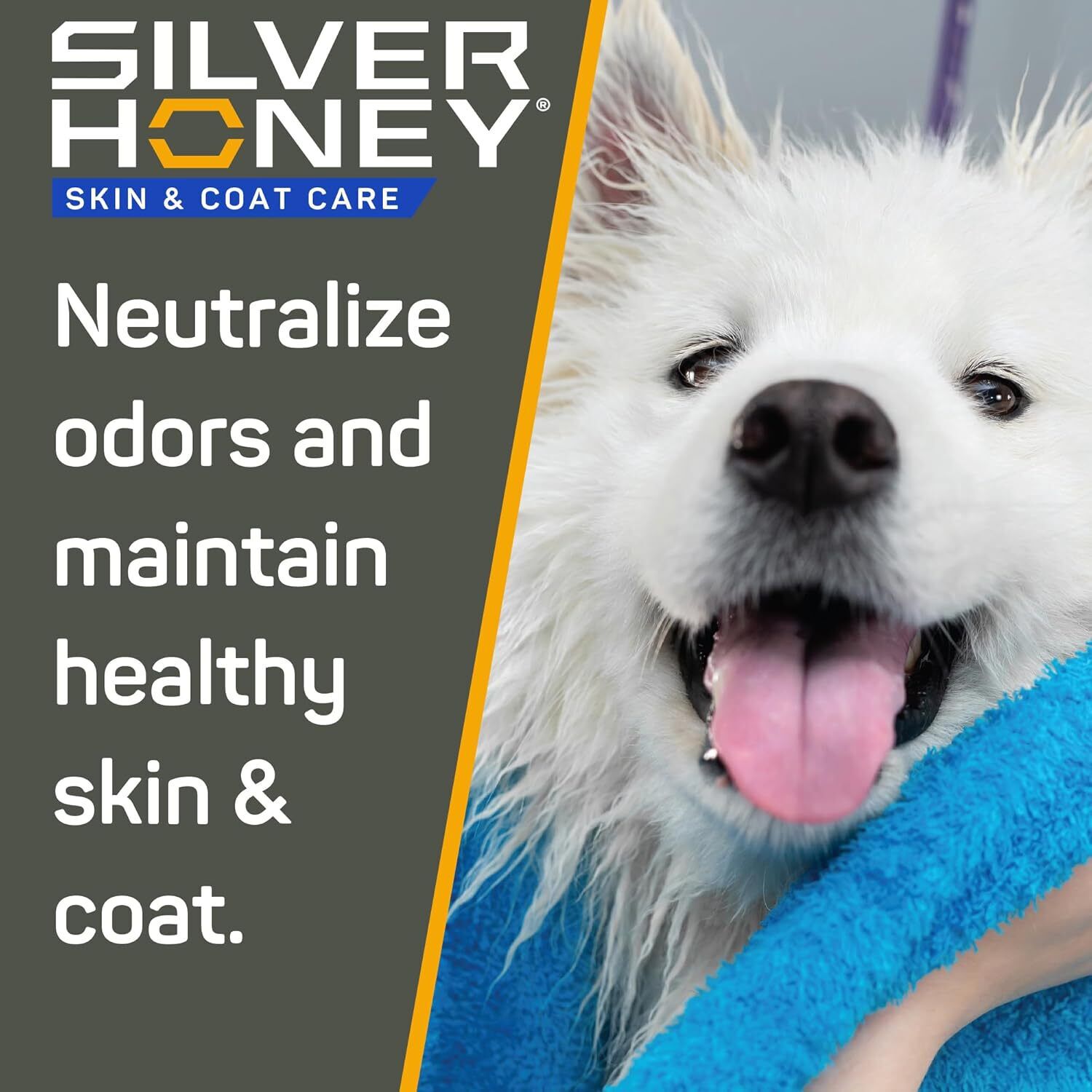Silver Honey&reg; Skin & Coat Care Nourish & Soothe Leave-In Dog Conditioner, 16-Fl-Oz Pump Bottle