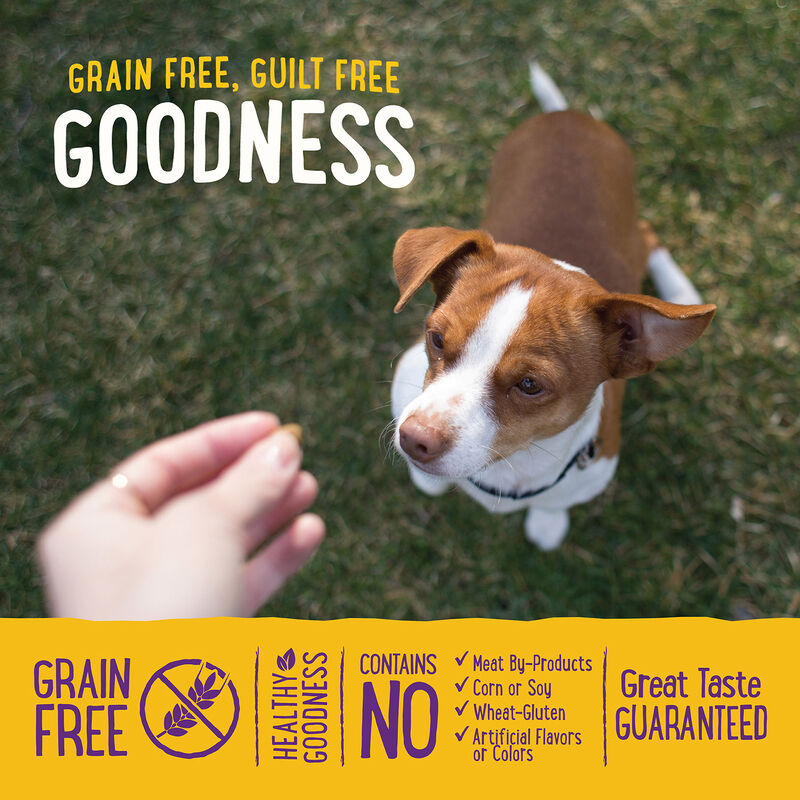 Grain Free Soft Wellbites Beef & Turkey Recipe Dog Treat image number 4
