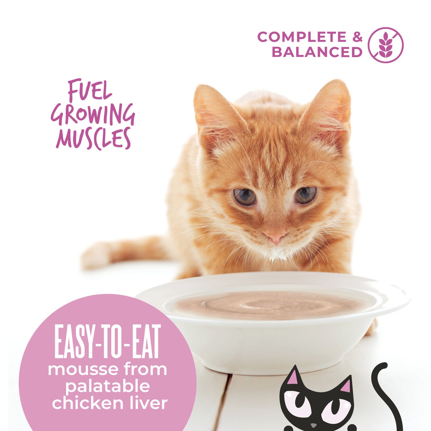 Tiki Cat Baby Mousse Wet Cat Food For Kittens, Chicken, Duck & Duck Liver, 2.4-Oz Pouch