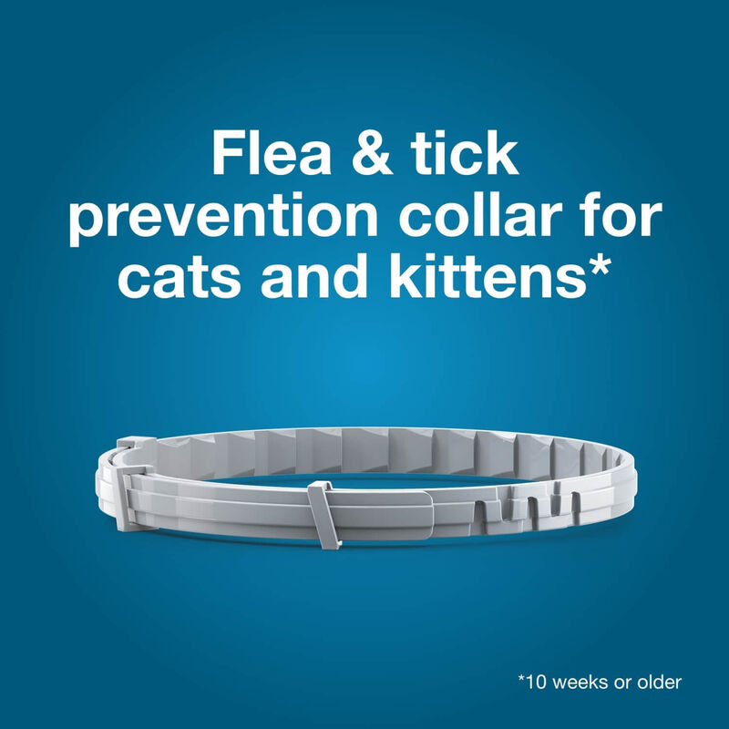 Seresto Flea & Tick Treatment & Prevention Collar For Cats, 8 Months Protection