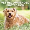 K9 Advantix Ii Flea & Tick Treatment For Dogs, 4 10 Lbs thumbnail number 6